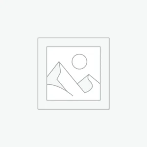 Elegant Purple Formal